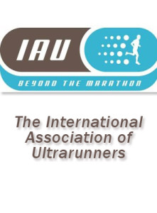 IAU logo