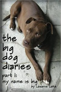 big dog diaries