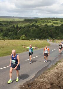 Dartmoor Discovery 